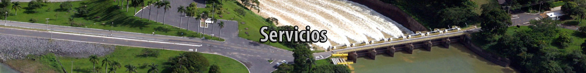 servicios