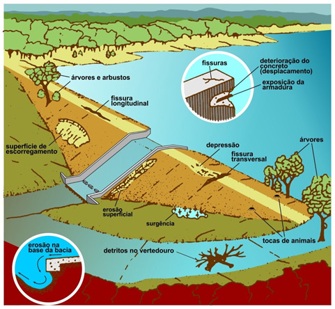 Schematic representation of the anomalies (modified from Roque and Comission, 2001)